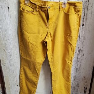 Ann Taylor Loft jeans